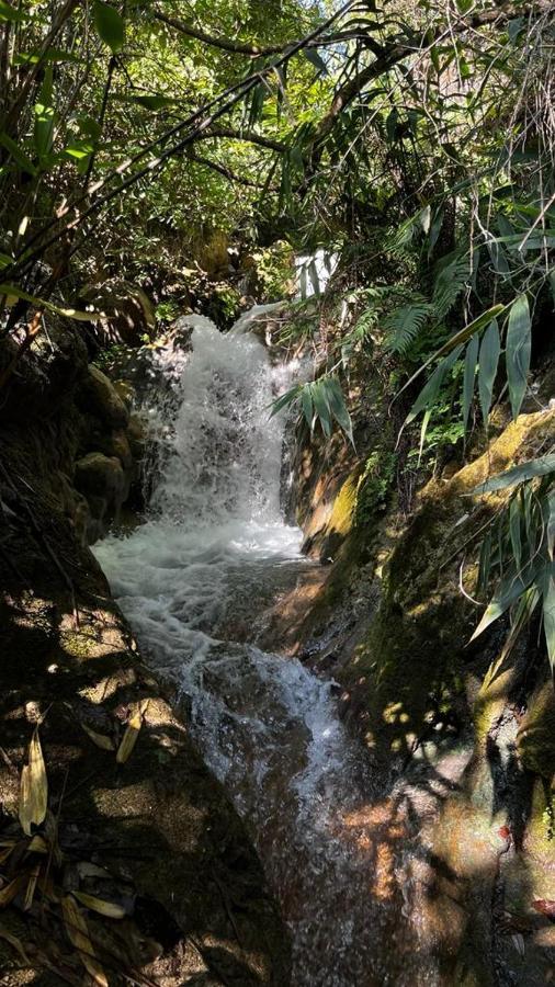 Joey'S Homestay Rishikesh Bagian luar foto